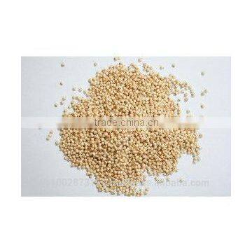 Yellow sorghum seeds