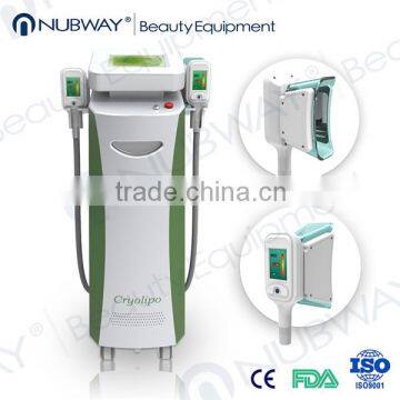 Fat Freezing 2 Handles Cryolipolysis Fat Freezing Machine / Fat Reduction Cryolipolysis Machine / Cryolipolysis With CE&ISO Local Fat Removal