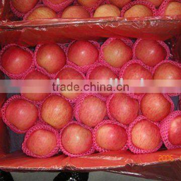 china fuji apple exporter