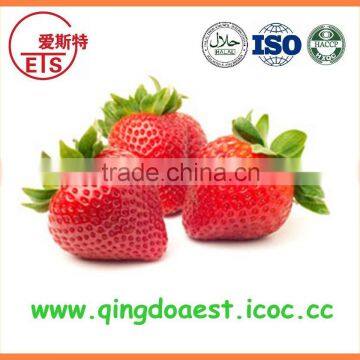 Hot sale bulk Grade A frozen IQF fresh strawberry