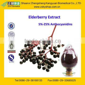 Natural and GMP Certified Black Elderberry Extract