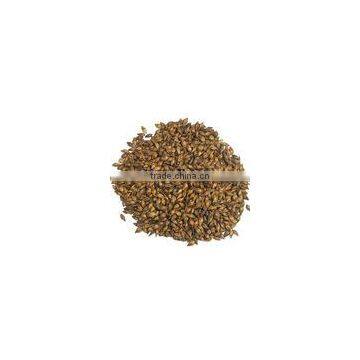 Factury dircet sale beer malt extract