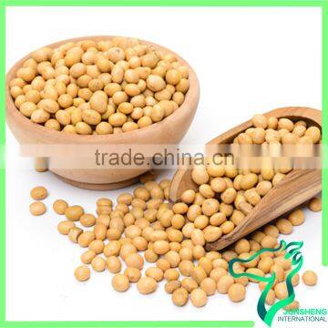 Wholesale Top Quality Soybeans