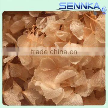 Natural Processing Fadeless Flower European Snowball Preserved Hydrangeas photo-6