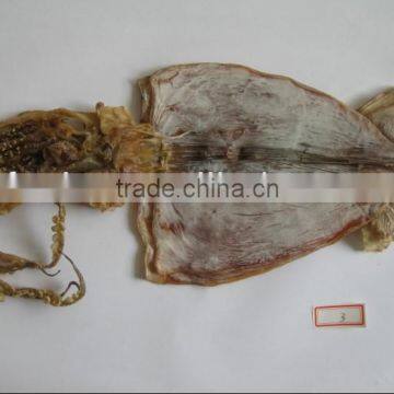 Dried Squid whole