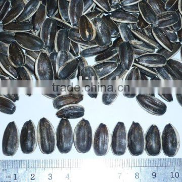 Sunflower seeds hulled, American Type,5135, 20/64, 22/64, 24/64