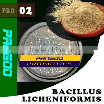 bacillus licheniformis probiotics in feed additives high concentration
