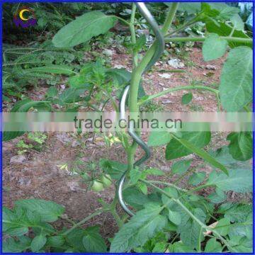 durablw and robust Tomato Spiral plant support wire