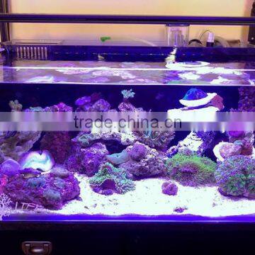 ESUN Polycaprolactone (polymorph)for Coral Reef Frag Glue Application in Aquarium photo-3