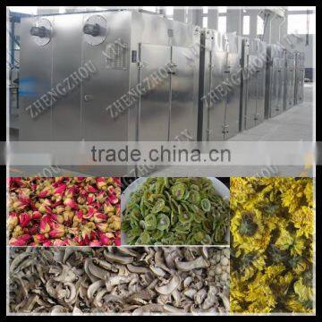 New design Tea leaf drying machine/Meat drying machine/Herb drying machine