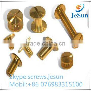 China Supplier Brass Chicago Screws