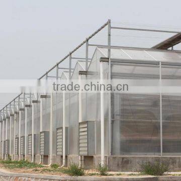 Fiberglass Sheet for Greenhouse photo-6