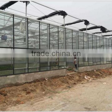 Multi-Span agricultural greenhouse for growing flower