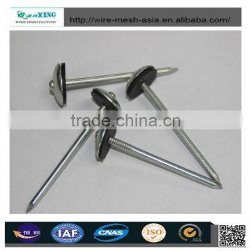 2017 High Quality/low Price Roofing Nails photo-3