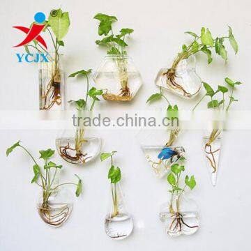 Wholesale Different Shape Hanging Glass Wall Terrariums Decoration