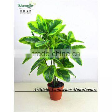 SAS201601 Artificial Green Foliage Plant Bonsai photo-4