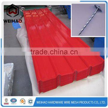 Manufacturers of Umbrella Head Roofing Nails 9G 2.5" photo-2