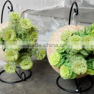 Ex-fty Most Affordable Coconut Box/storage Container for Green Plant photo-3