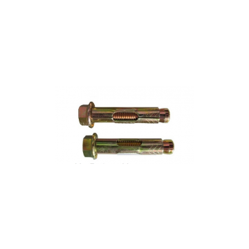 Bolt Anchor
