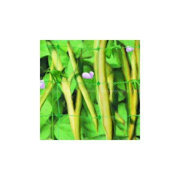 Plant Support Netting Supports Crops and Flowers