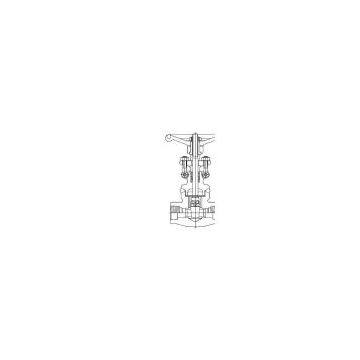 internal thread &socket welding gate valve