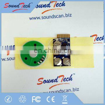 Acoustic Components Sound Recording Chip for Cards photo-4