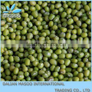 High qualtiy Green Mung Bean for sprouting,2012 crop