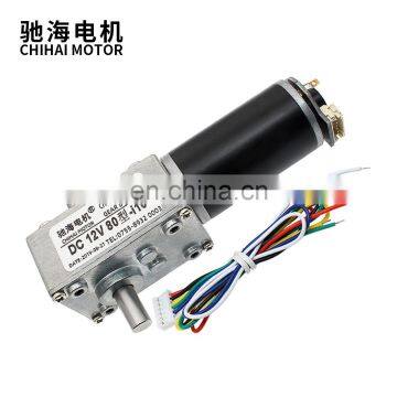 ChiHai Motor CHW-4058-3162ABHL DC 24v Worm Geared Motor  High Torque D Shaft 12v Motor Rotating Table Door Self-lock