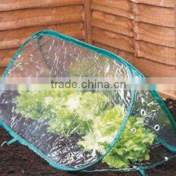 PVC cloche greenhouse