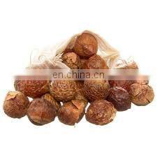 Organic Soap Nuts Without Seed/100% Natural Organic Soap Nut Wholesale From Vietnam photo-4