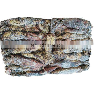 Frozen Black Squid Indian Ocean Squid Indian Squid Factory Direct Sale photo-3