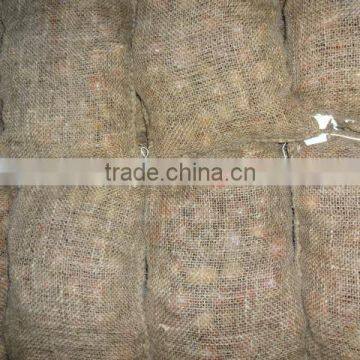 Chinese Shandong Taian Chestnut easy peeled