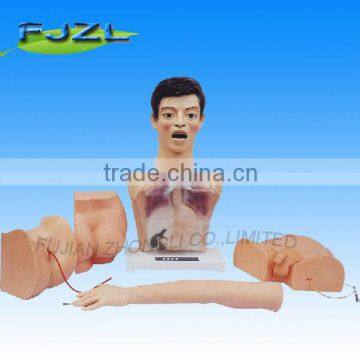 Basic Human Nursing Training Manikin model for study