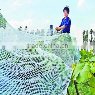 virgin 100% HDPE anti-hail net