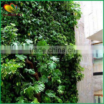 Wholesale large artificial green wall system for home garden