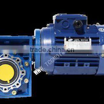 RV040 1/4HP Worm Gear motor with RV Gear reducer