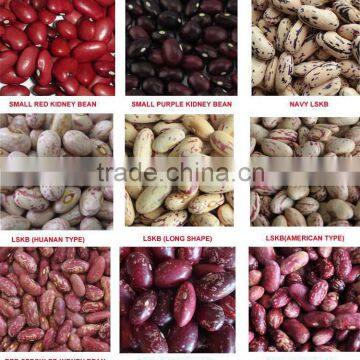 White,Read,Black Kidney Beans Green Mung Beans