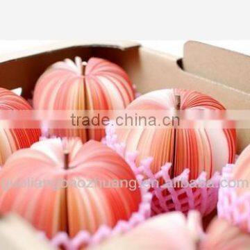 Made in China Apples Packaging Foam Net