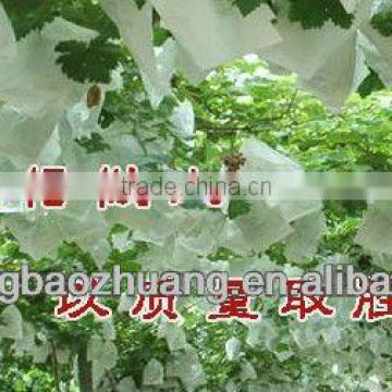 Fruit Cultivation Paper Bag