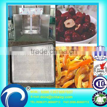 Food grade electric dryer