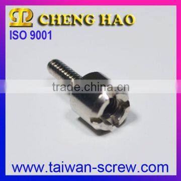 Customized Stainless Steel 2.5mm Screws