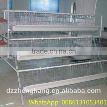 120 Chickens Galvanized Chicken Cage Chicken Battery Cage for Sale photo-2