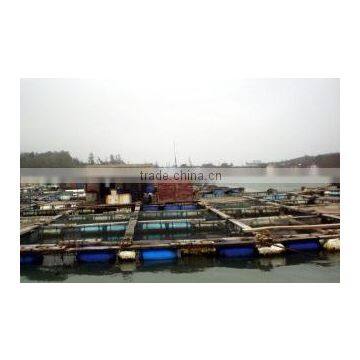 Xiamen Taiseng Imp. & Exp. Co., Ltd.