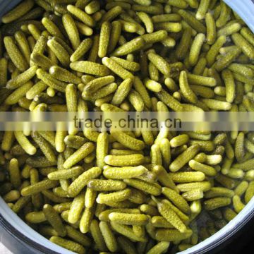 Gherkins Cucumbers bulk drums