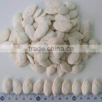 Grade A Pumpkin Seeds for New Zealand