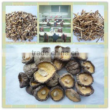 Edible dried shiitake mushroom