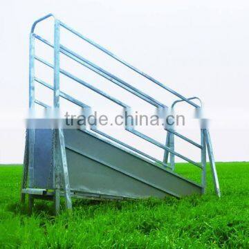 Cattle Loading Ramp