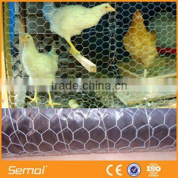 Hexagonal Shape Chicken Coop Wire Mesh/Chicken Wire Mesh