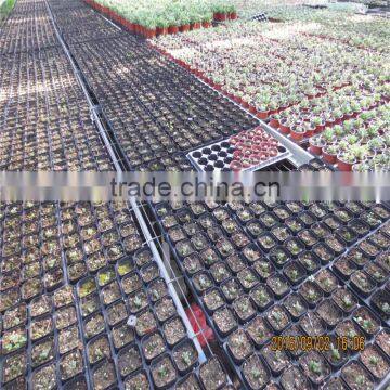 Agriculture Green House With Galvanized Steel Pipe photo-6