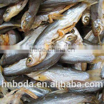 Industrial Fish Drying Machine photo-5